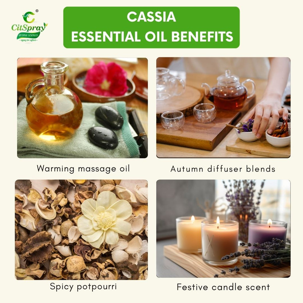 Cassia Essential Oil – Circulation
