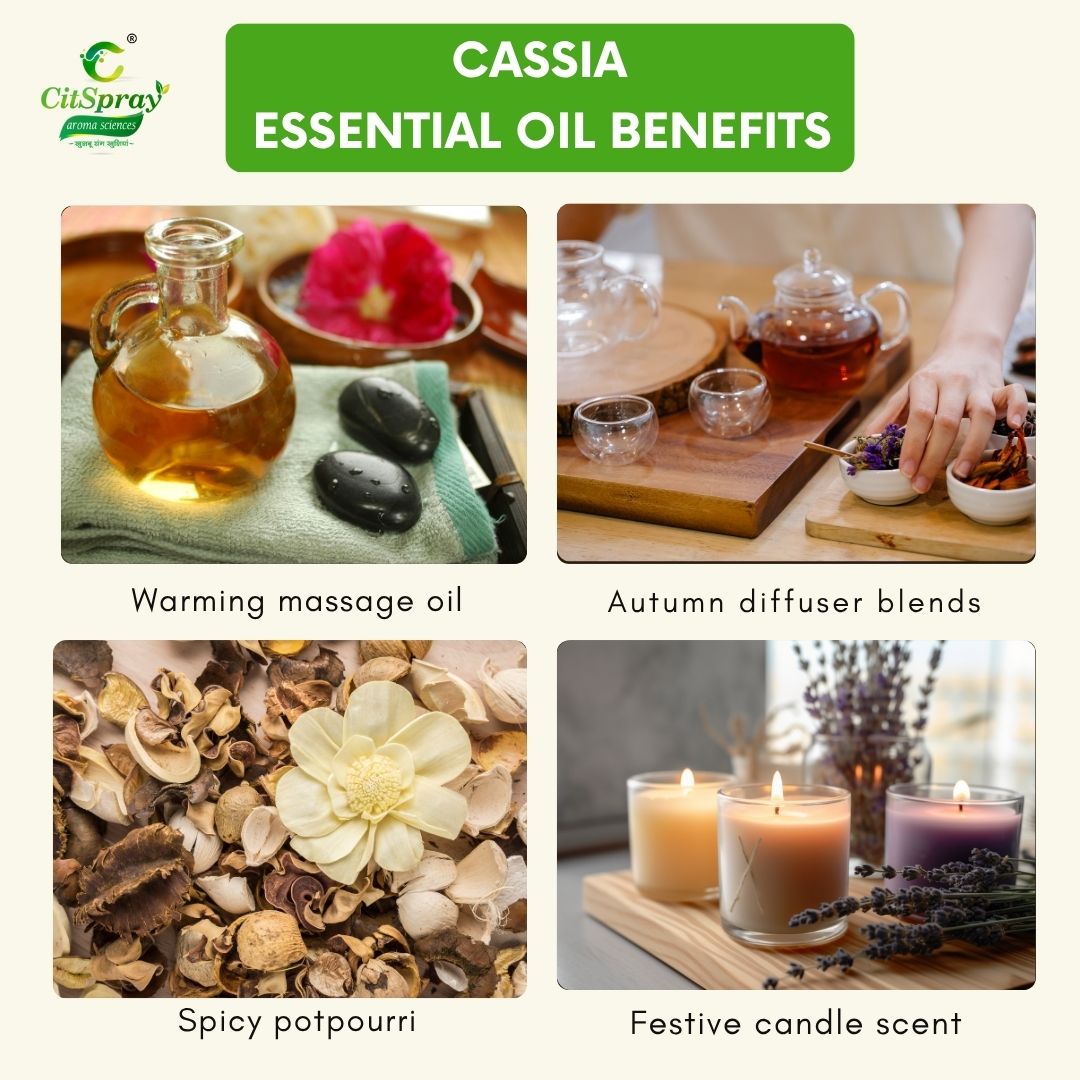 Cassia Essential Oil – Circulation