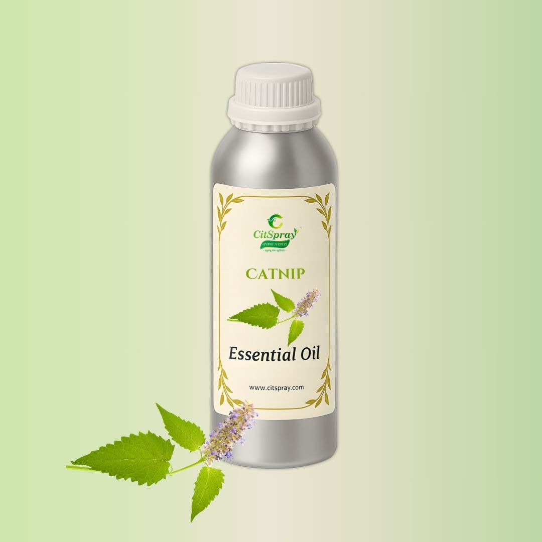 Catnip Essential Oil by CitSpray in aluminium bottle. Natural botanical extract.
