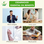 Cedarwood Essential Oil – Grounding