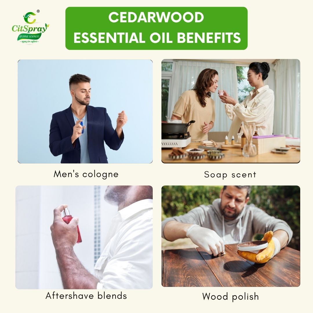 Cedarwood Essential Oil – Grounding