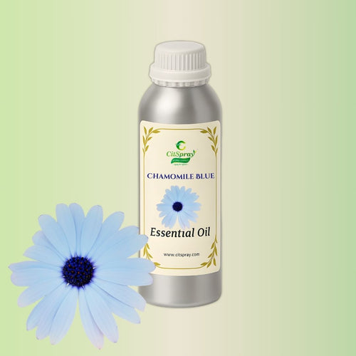 Chamomile Blue Essential Oil in CitSpray aluminium bottle. Calming Matricaria chamomilla.