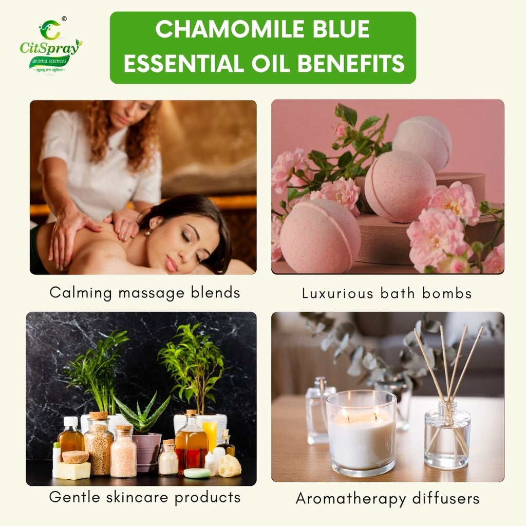 Chamomile Blue Essential Oil – Sleep Aid