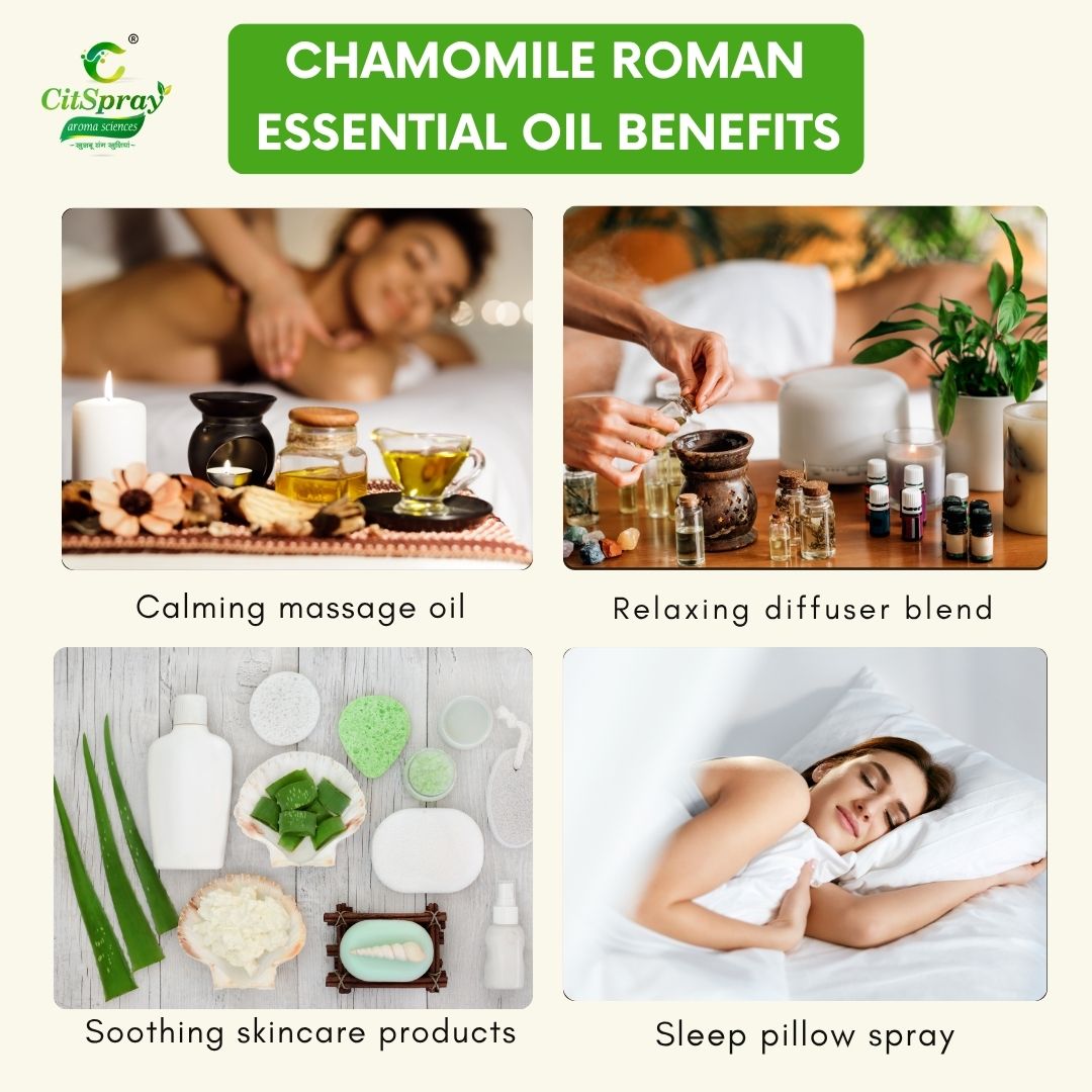 Chamomile Roman Essential Oil – Sleep Aid
