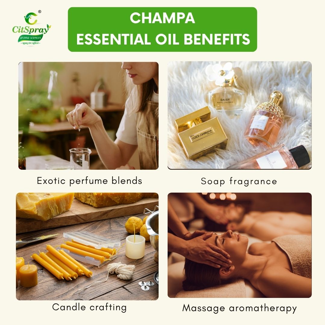 Champa Essential Oil – Spiritual Awakening