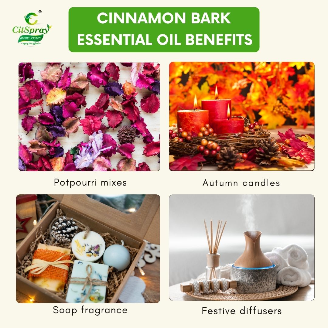 Cinnamon bark Essential Oil – Warming