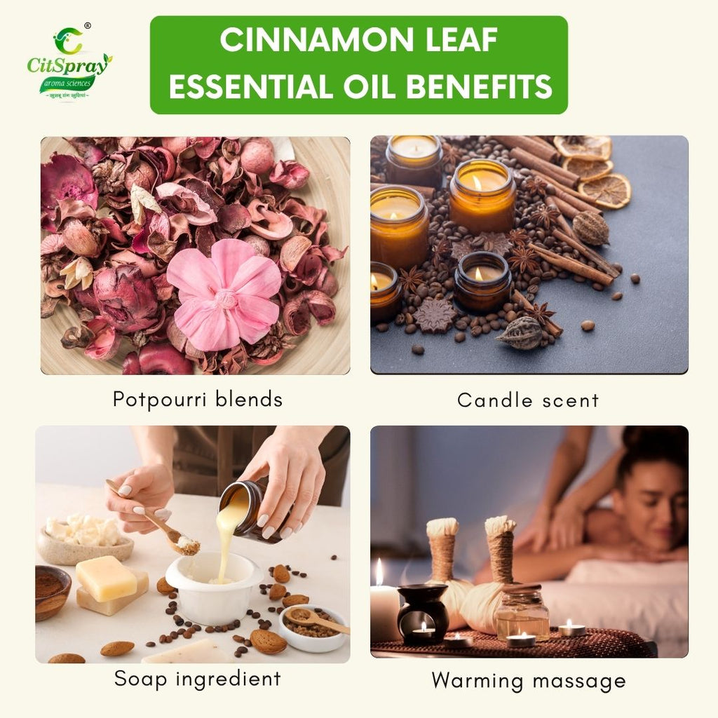 Cinnamon leaf Essential Oil – Invigorating