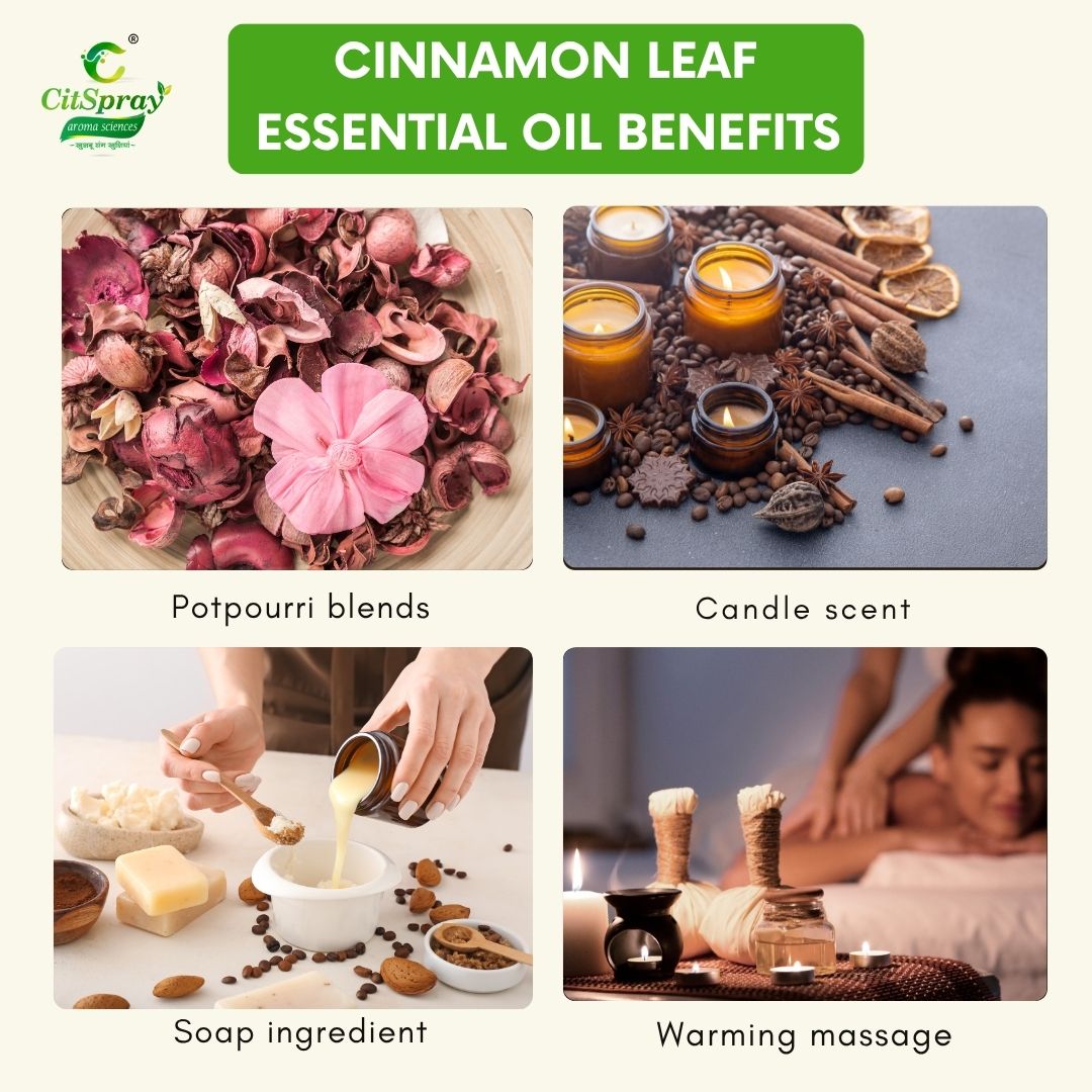 Cinnamon leaf Essential Oil – Invigorating