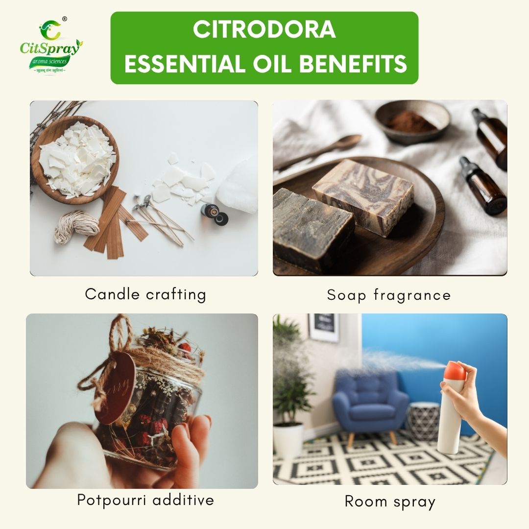 Citrodora Essential Oil – Invigorating