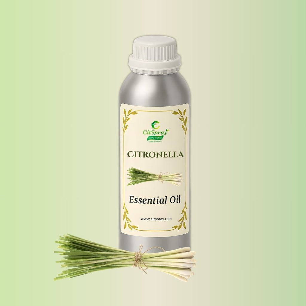 Citronella Essential Oil in aluminium bottle by CitSpray. Natural insect repellent.