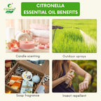 Citronella Essential Oil – Insect Repellent