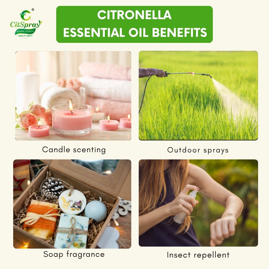 Citronella Essential Oil – Insect Repellent