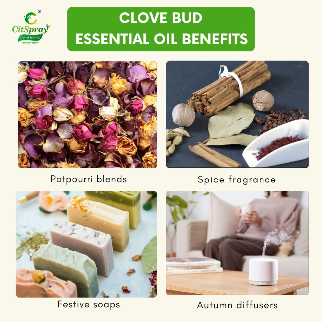 Clove bud Essential Oil – Warming Aroma
