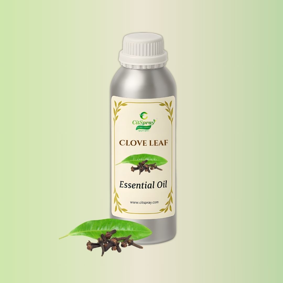 Clove Leaf Essential Oil in aluminium bottle by CitSpray.