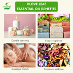 Clove leaf Essential Oil – Natural Cleansing