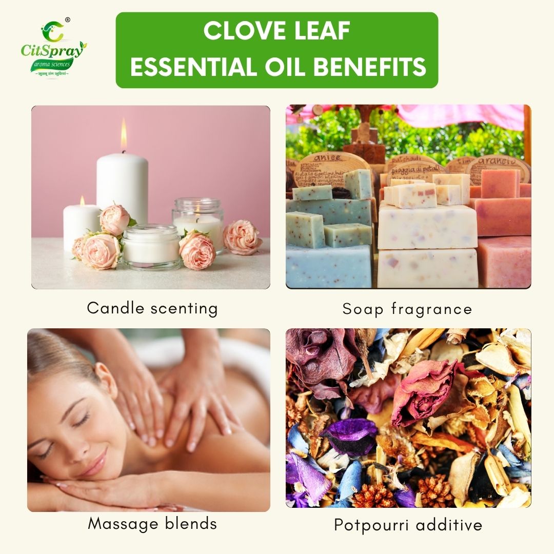 Clove leaf Essential Oil – Natural Cleansing