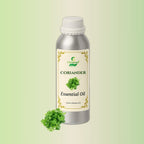 Coriander Essential Oil in CitSpray aluminum bottle. Coriandrum sativum.