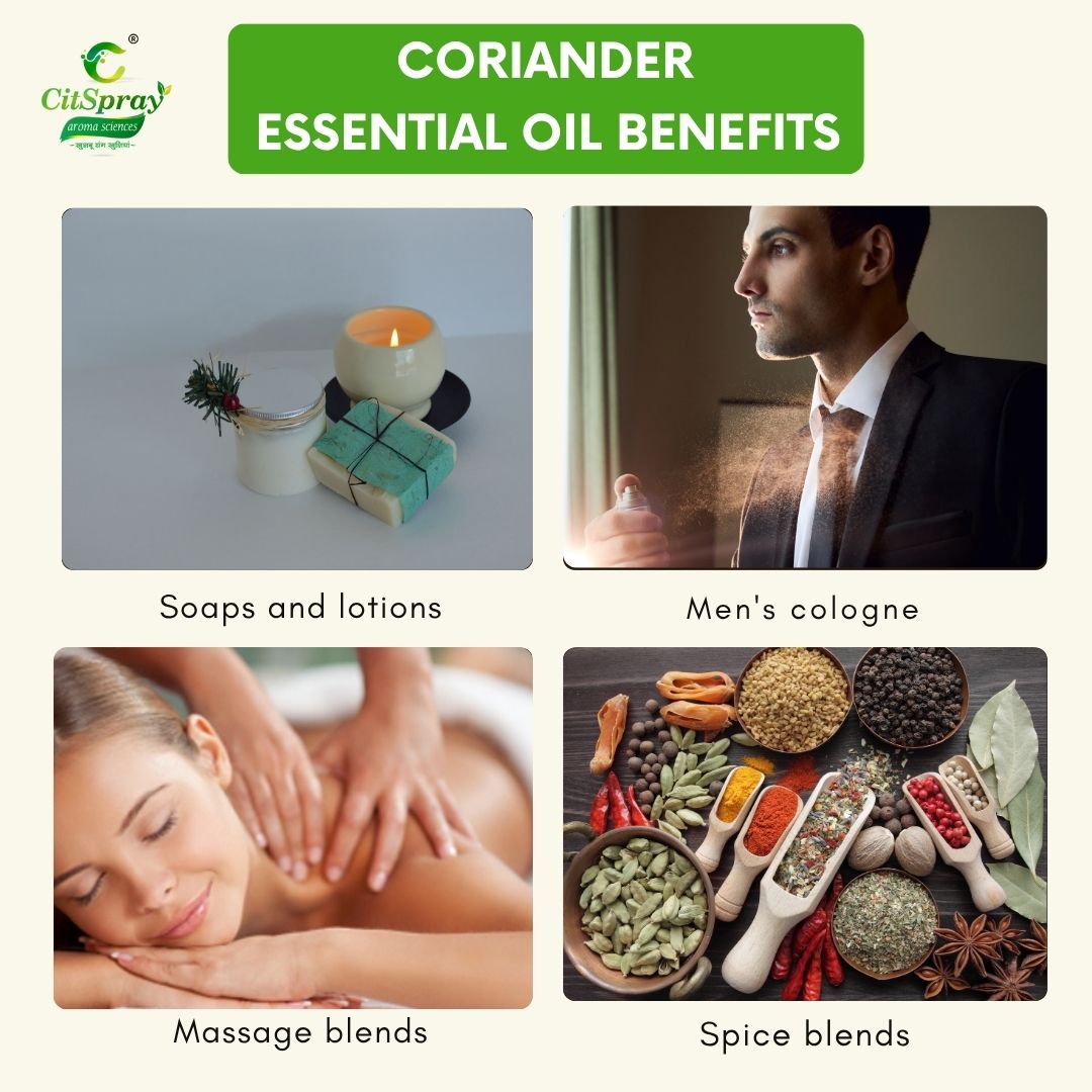 Coriander Essential Oil – Digestive Support