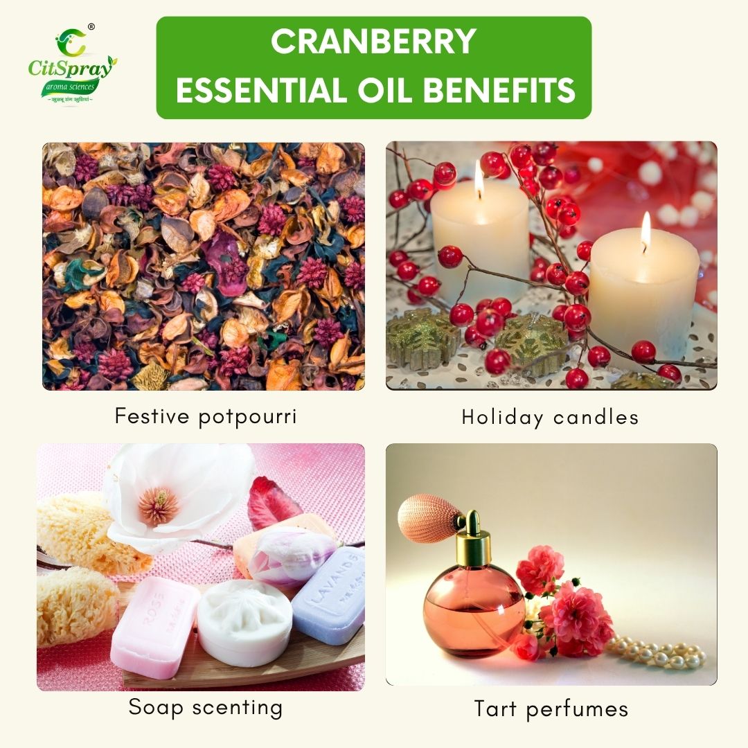 Cranberry Essential Oil – Antioxidant Rich