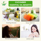 Cucumber Essential Oil – Refreshing Skin