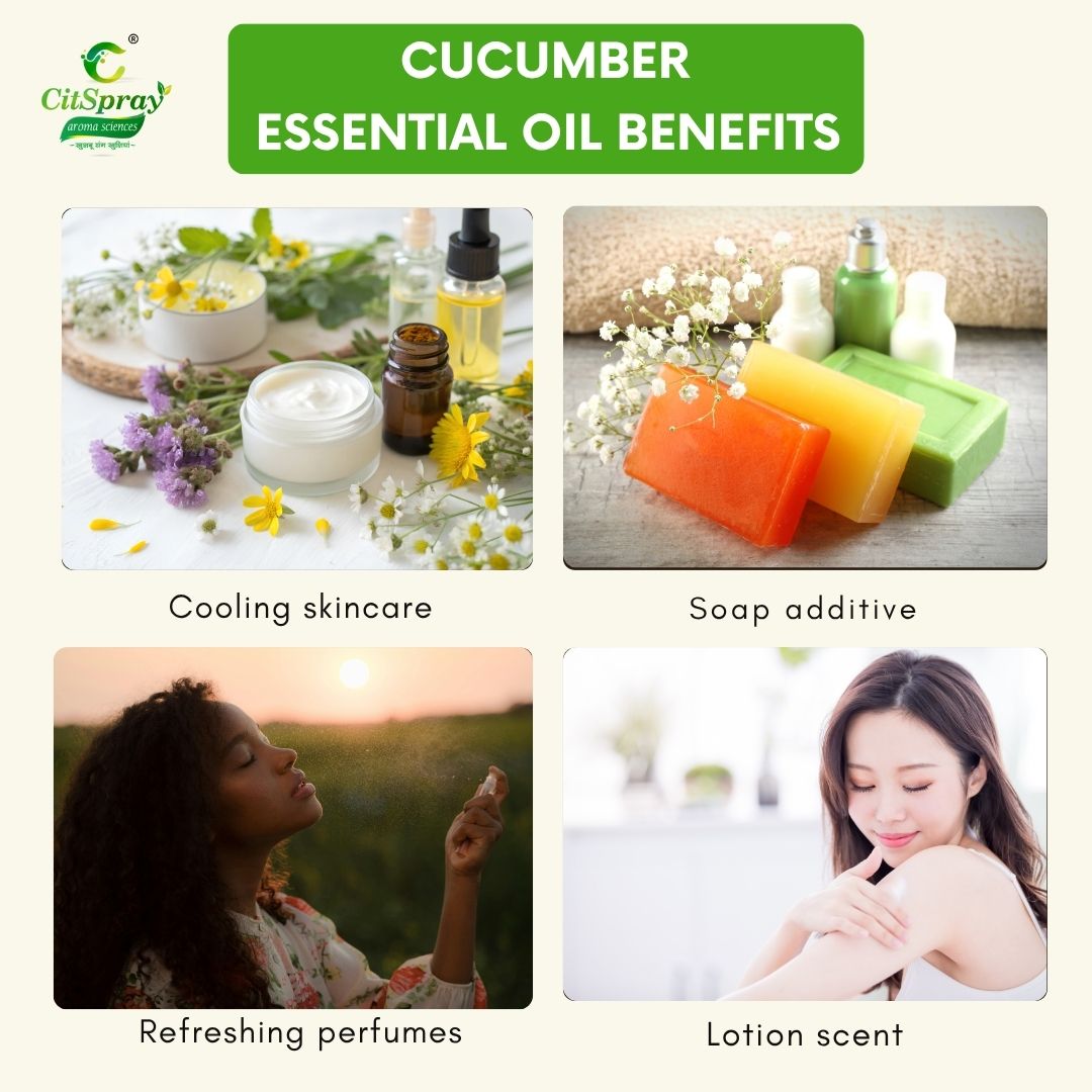 Cucumber Essential Oil – Refreshing Skin