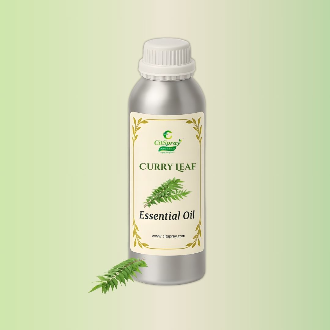 Curry Leaf Essential Oil by CitSpray in an aluminium bottle. Natural Murraya koenigii extract.