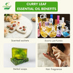 Curry Leaf Essential Oil – Hair Health