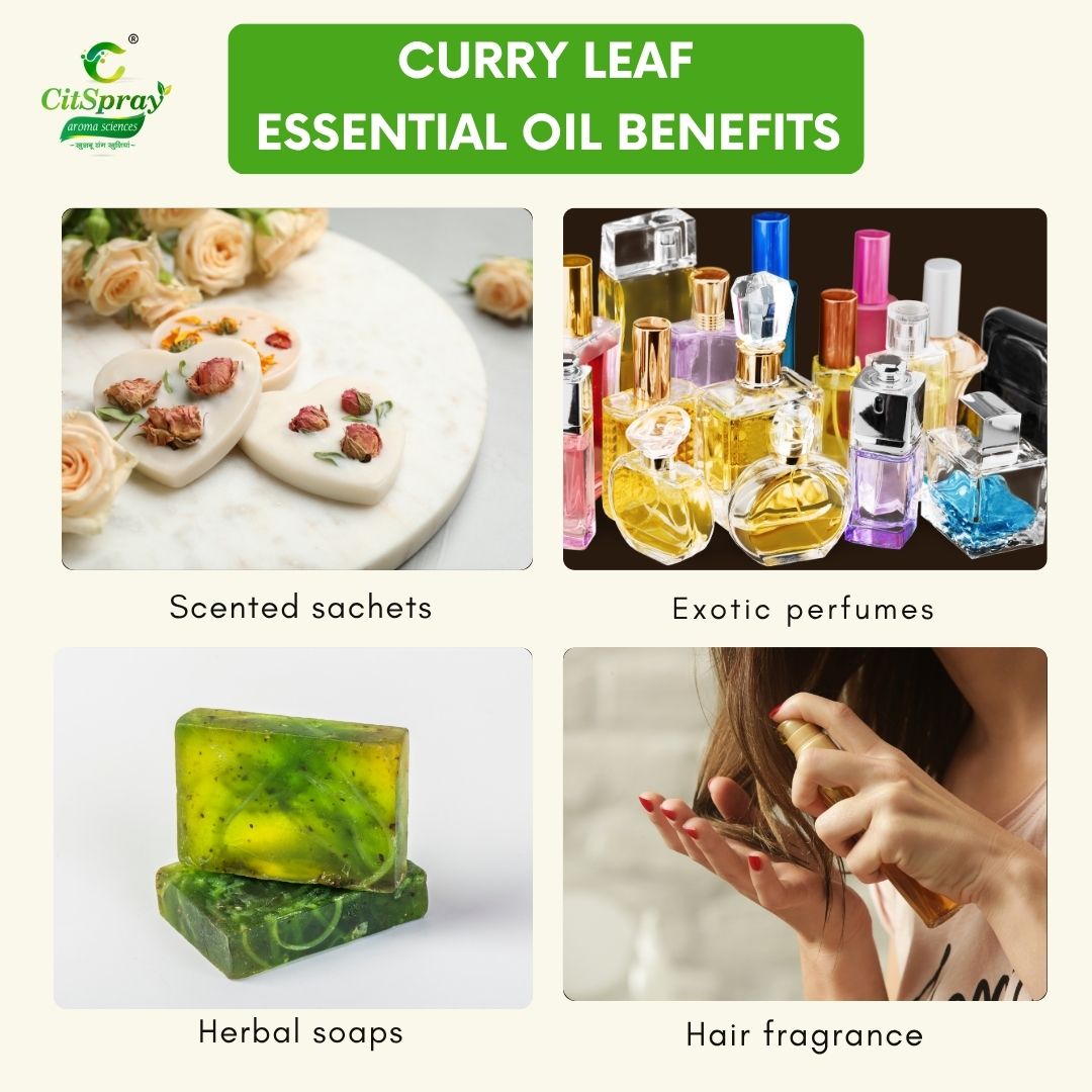 Curry Leaf Essential Oil – Hair Health