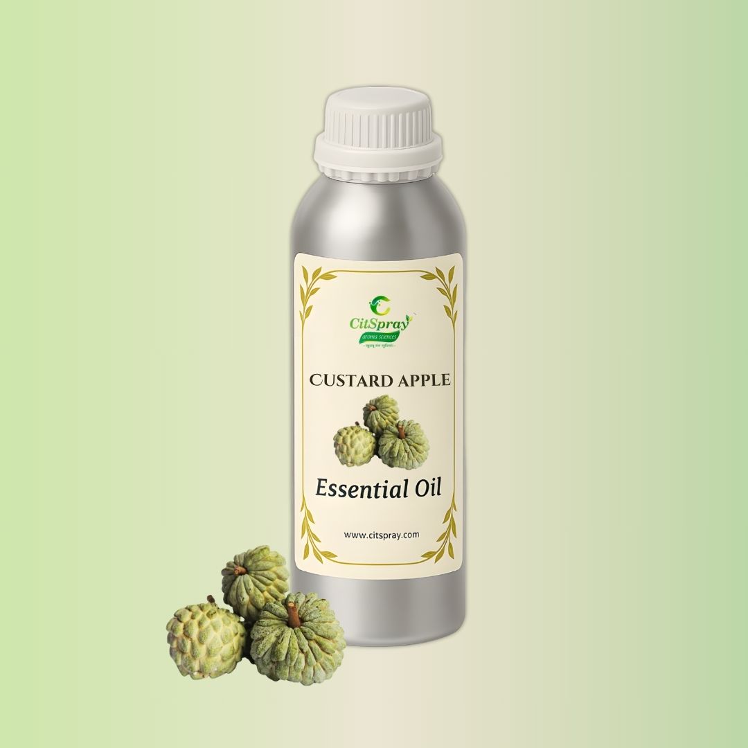 Custard Apple Essential Oil by CitSpray in an aluminium bottle. Annona reticulata oil product.