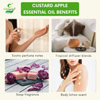 Custard apple Essential Oil – Natural Aroma