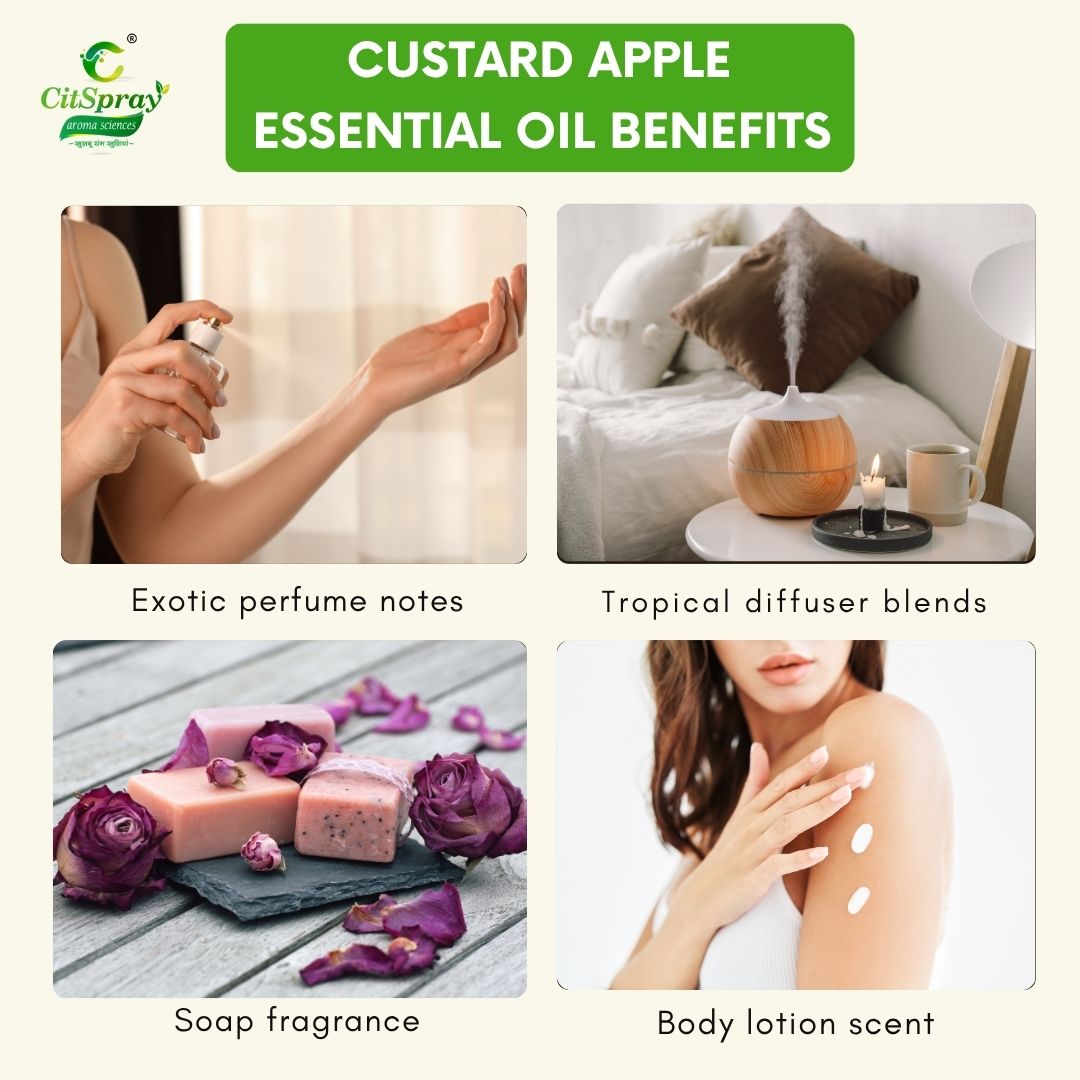 Custard apple Essential Oil – Natural Aroma