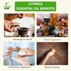 Cypress Essential Oil – Grounding