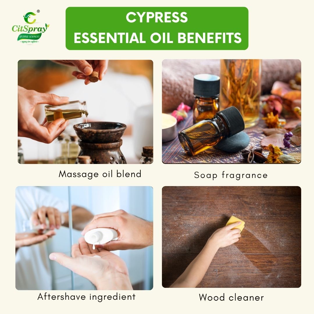 Cypress Essential Oil – Grounding