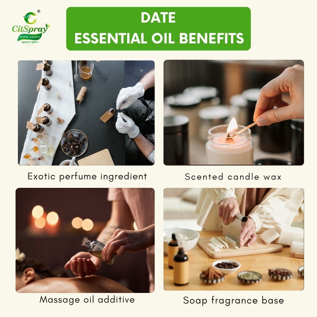 Date Essential Oil – Natural Sweetness