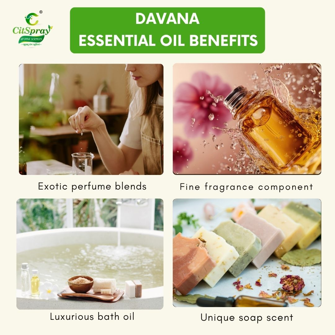 Davana Essential Oil – Sweet Aroma