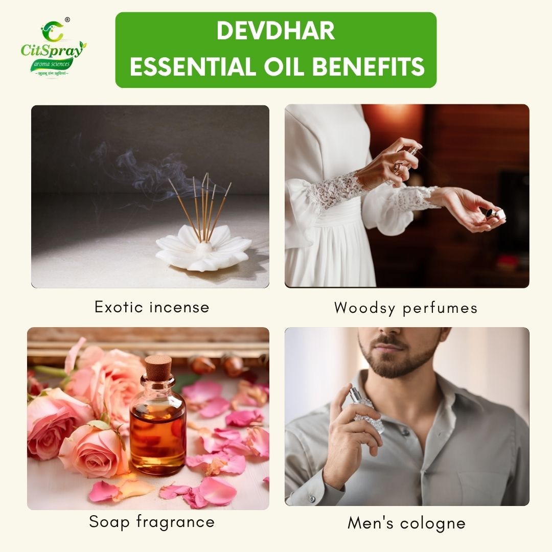 Devdhar Essential Oil – Grounding Aroma