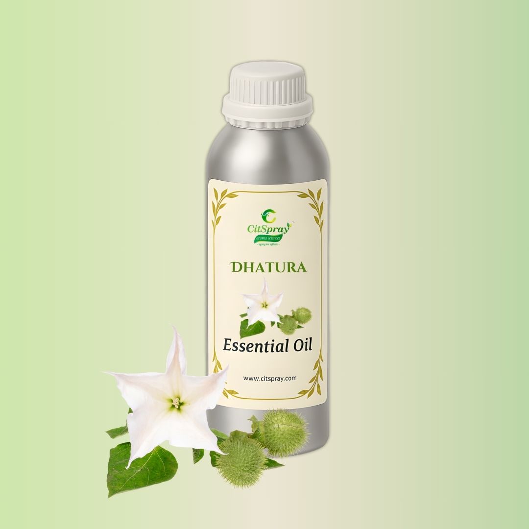 CitSpray Dhatura Essential Oil in aluminium bottle. Possible Jimsonweed botanical.