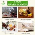 Dhatura Essential Oil – Spiritual Connection
