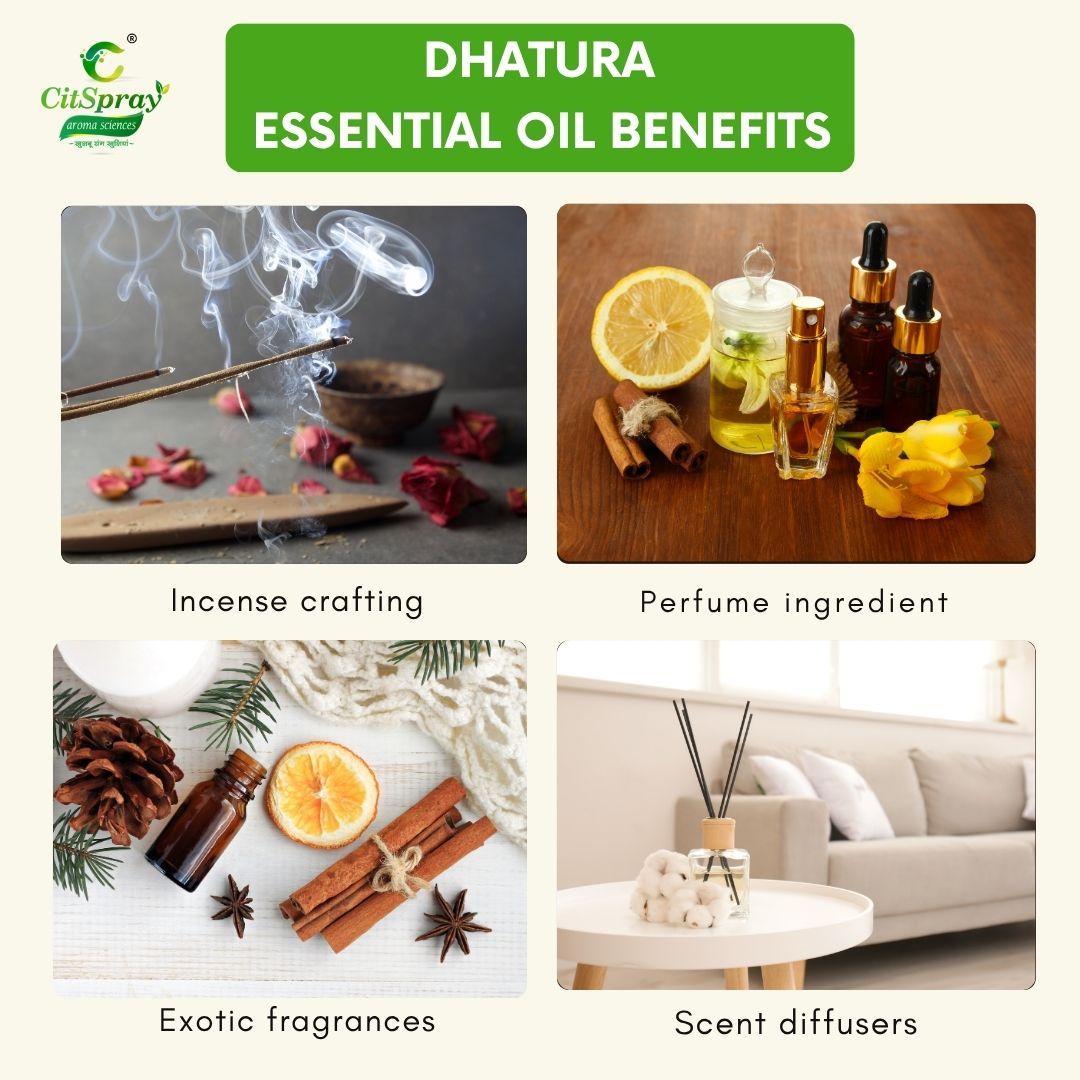 Dhatura Essential Oil – Spiritual Connection