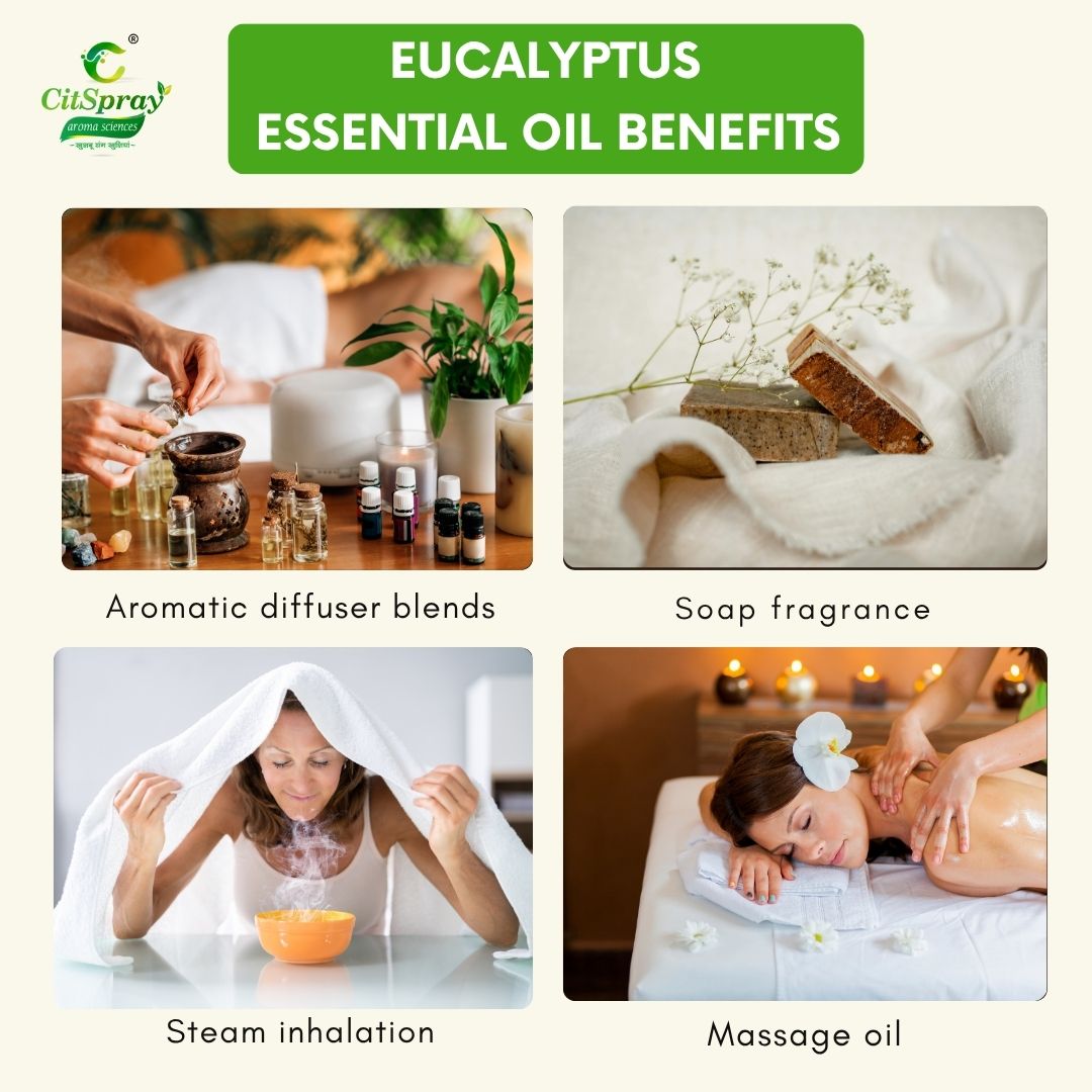 Eucalyptus Essential Oil – Congestion Relief