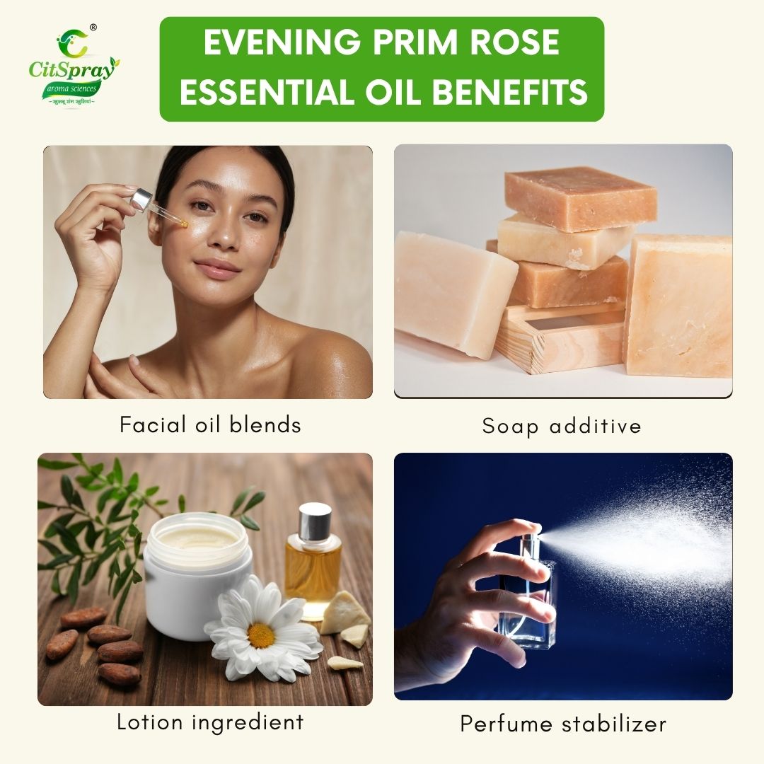 Evening Prim Rose Essential Oil – Skin Health