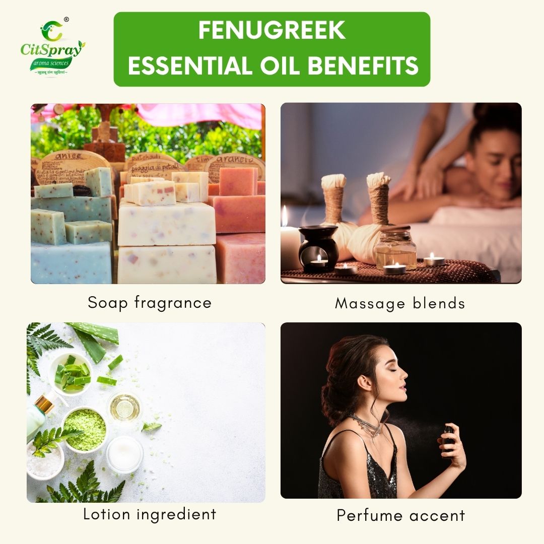 Fenugreek Essential Oil – Digestive Support