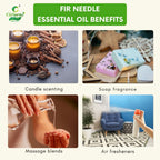 Fir needle Essential Oil – Invigorating Aroma