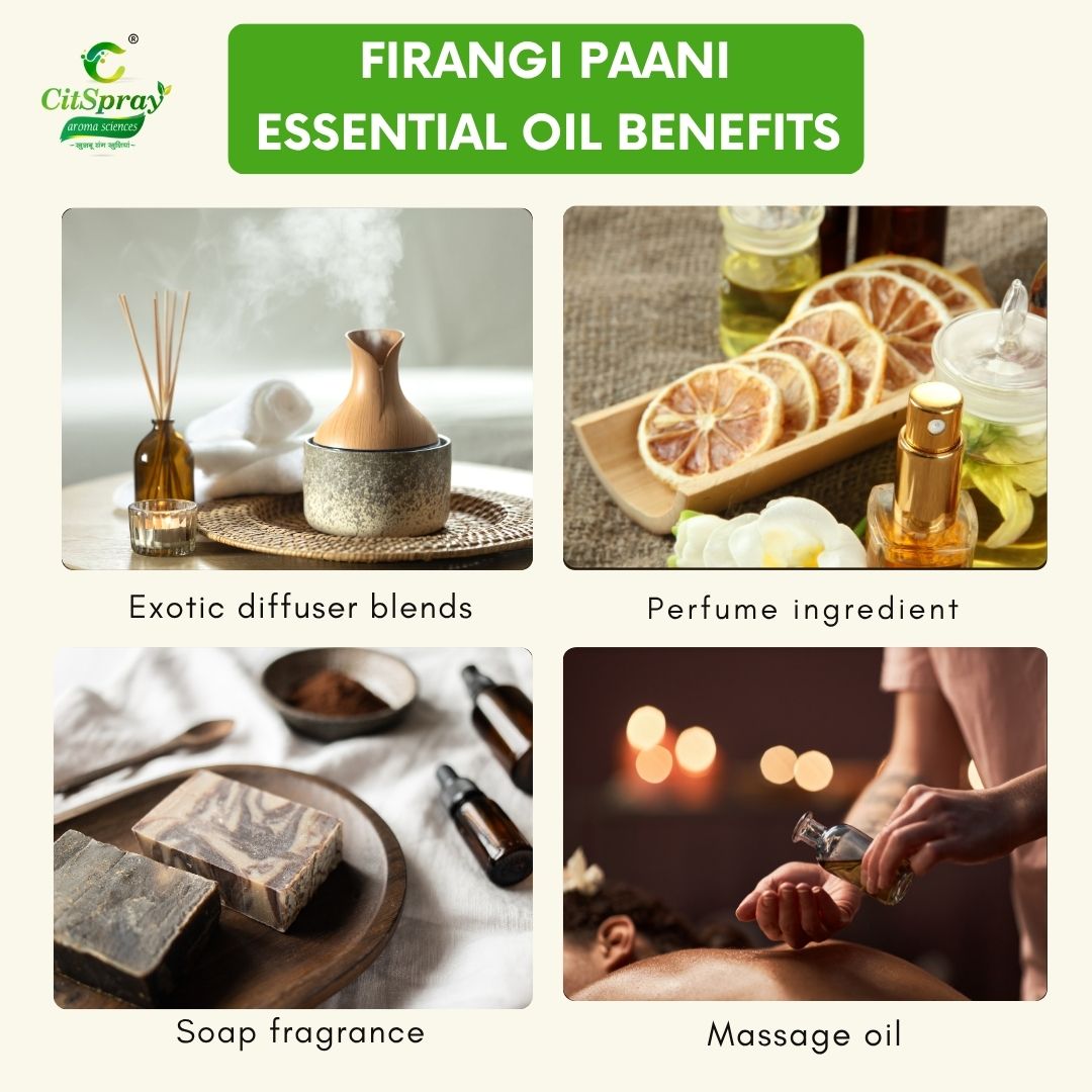 Firangi Paani Essential Oil – Grounding