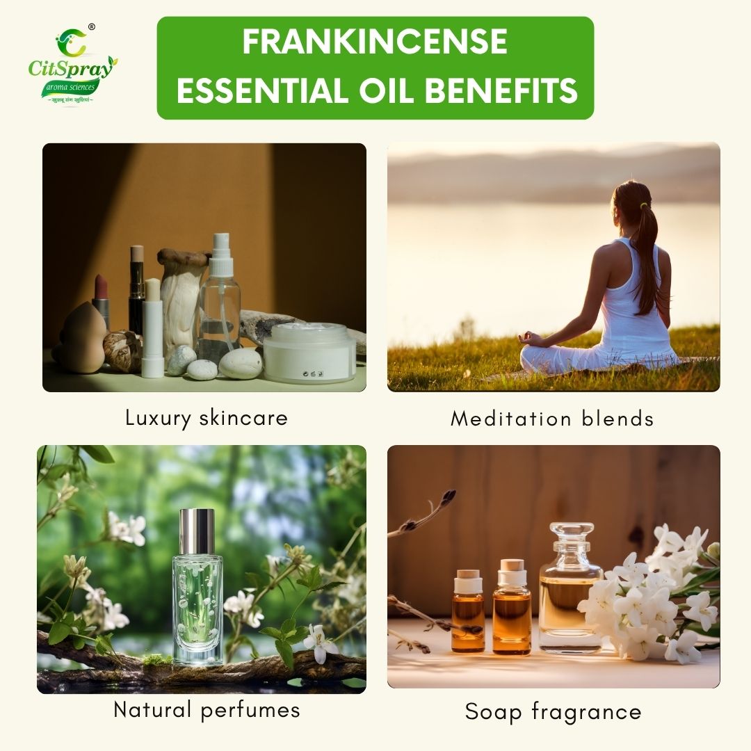Frankincense Essential Oil – Spiritual Grounding