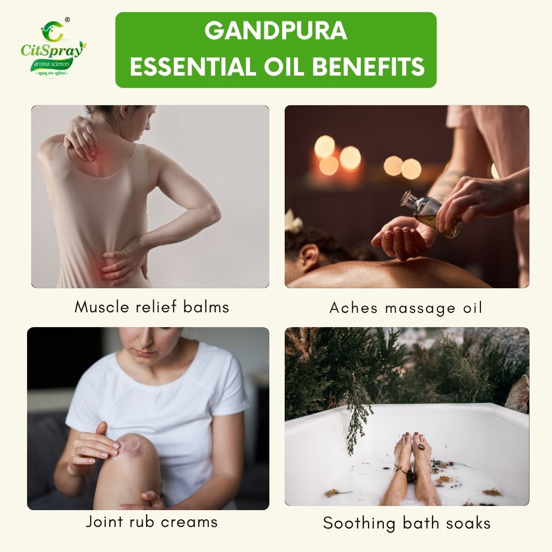 Gandpura Essential Oil – Muscle Relief