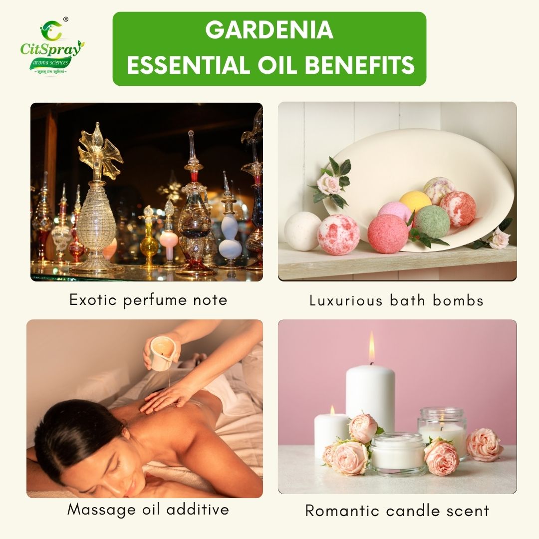 Gardenia Essential Oil – Serene Aroma