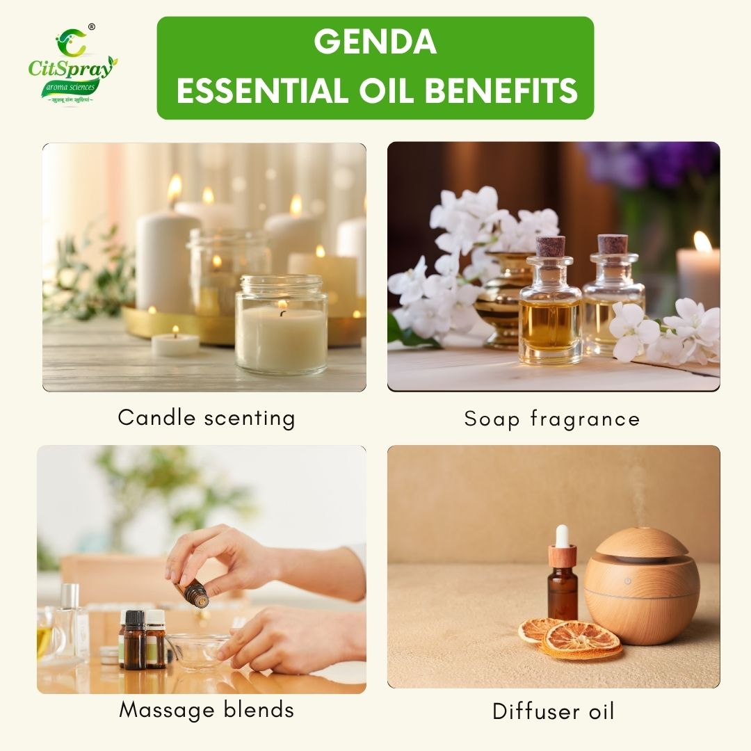 Genda Essential Oil – Natural Wellness