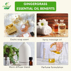 Gingergrass Essential Oil – Revitalizing