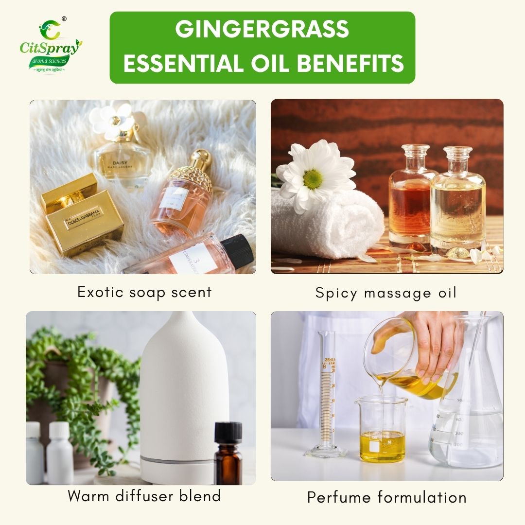 Gingergrass Essential Oil – Revitalizing